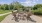 a patio with chairs and tables near lush green turf